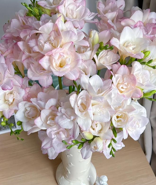 “这5样”不是瞎说小心影响身体健康j9国际站切记！睡觉的房间不能放(图5)