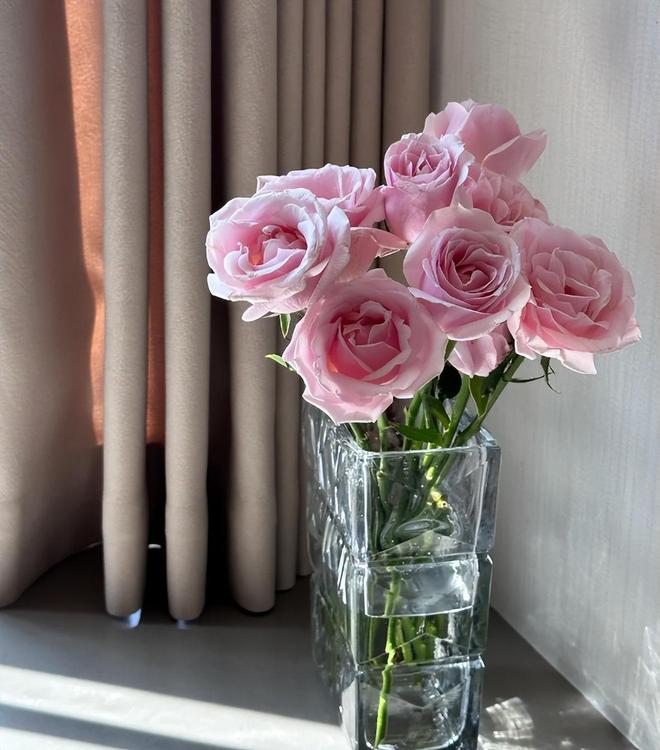 “这5样”不是瞎说小心影响身体健康j9国际站切记！睡觉的房间不能放(图7)