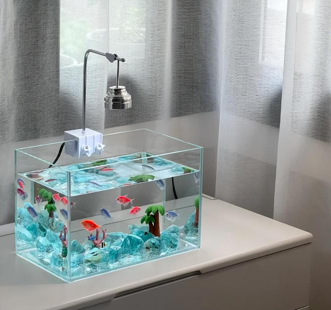 “这5样”不是瞎说小心影响身体健康j9国际站切记！睡觉的房间不能放(图10)