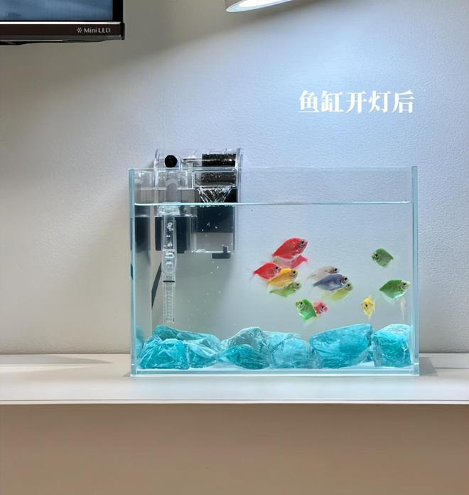 “这5样”不是瞎说小心影响身体健康j9国际站切记！睡觉的房间不能放(图14)